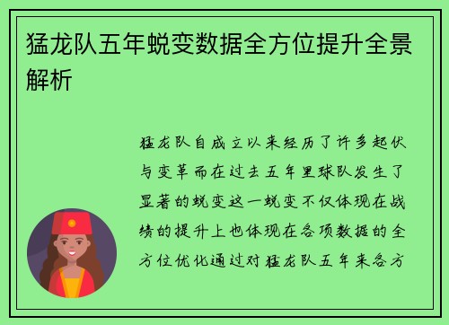 猛龙队五年蜕变数据全方位提升全景解析